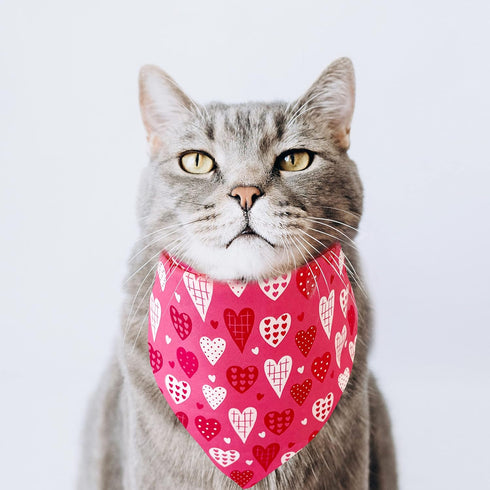 Romantic Heart Pattern Bandana for Dogs and Cats - Perfect for Valentine's Day