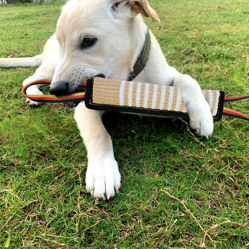 ASOCEA Dog Tug Toy, Tough Jute Pillow Pull Toy for Medium to Large Dogs, Interactive Squeaky Tug of War Training Toy