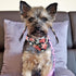 3PCS Bow Tie Dog Collar and Leash Set, Adjustable Plaid/Camo/Dots/Flower Bandanas with Bell for Small Dogs Puppies and