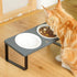 Sunhoo Ceramic Elevated Cat Bowls, Grey - Raised Puppy Dishes with Tilted Bamboo Stand for Anti Vomiting