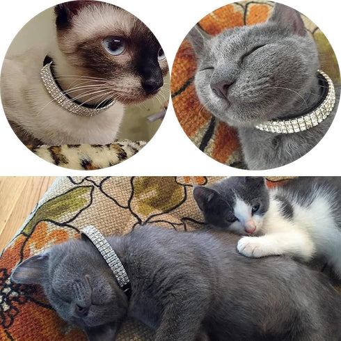 CHUKCHI Soft Velvet Adjustable Cat Collar with Bling Diamante and Bells, 11 inch for Small Dogs & Cats (Black)