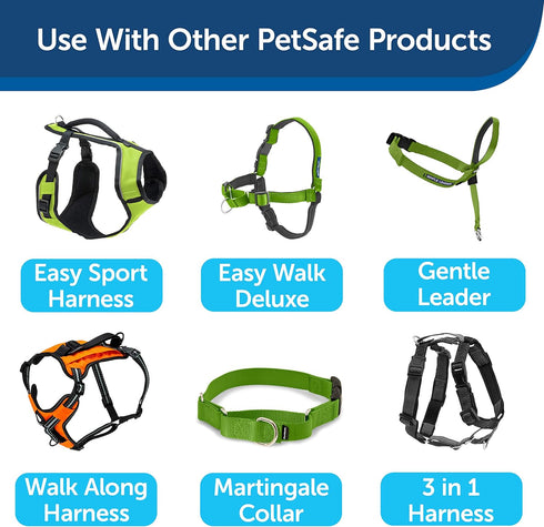 PetSafe Nylon Dog Leash - Strong, Durable, Traditional Style with Easy to Use Bolt Snap - 3/4 in. x 6 ft., Apple Green