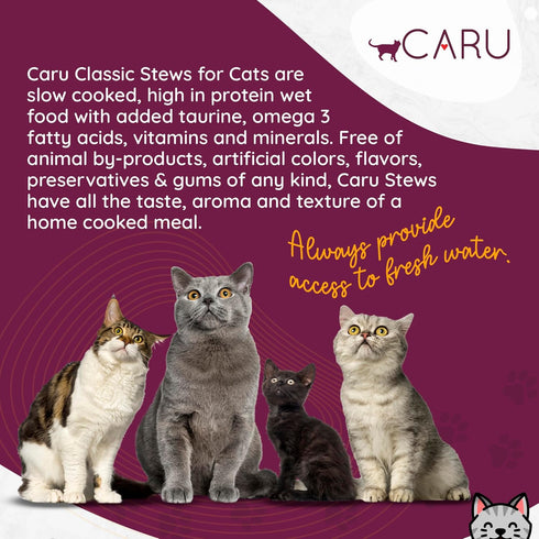 Caru Classics Wild Salmon & Turkey Stew for Cats - Healthy Functional Wet Cat Food, 5.5 oz Cartons, Pack of 4
