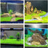 2 Pack Aquarium Small Leaf Grass, Creates Lush Green Carpet for Fish Tanks