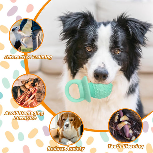 (2 Latex Chew Dog Toys, Novelty Squeaky Pacifier Dog Toys for Teething Puppies, Mild Chewing Small, Medium, Large Dogs