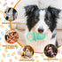 (2 Latex Chew Dog Toys, Novelty Squeaky Pacifier Dog Toys for Teething Puppies, Mild Chewing Small, Medium, Large Dogs