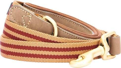 Blueberry Pet Polyester Fabric Webbing and Soft Genuine Leather Dog Leash, 6 ft x 1", Red and Brown