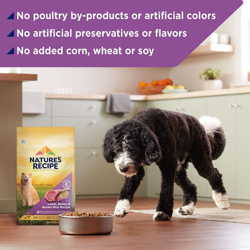 Nature's Recipe Lamb, Barley & Brown Rice Recipe Dry Dog Food, 24 lb Bag