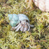 4oz Hermit Crab Moss Substrate, Perfect for Terrarium Habitat Decor& Tank Accessories, Humidity Control & Small Pet