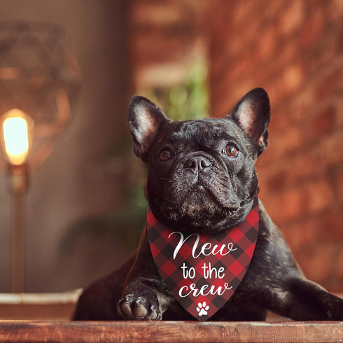 Joyriza New Puppy Announcement Dog Bandana, Adopted Puppies Reveal Gift for Owner, Dogs Birthday Supplies Gifts