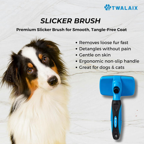 6 1 in Pet Grooming Kit for Dogs & Cats - Deshedding Brush, Undercoat Rake, Slicker Brush, Nail Clipper, Nail File