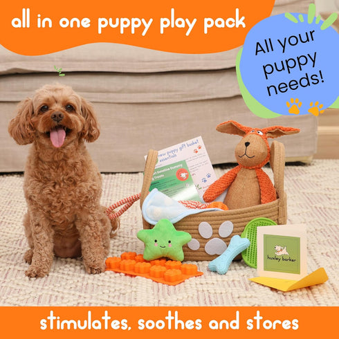 Premium Puppy Starter Kit - New Puppy Gift Basket with Essentials, Toy Box, Treat Tray, Training Supplies, Chew
