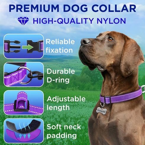TECEUM Reflective Pet Collar – Purple – L – Extra Soft Padding – Basic Nylon Dog Collar – Quick Release Buckle – Fits Small, Medium and Large Dogs, Puppies, Cats – ESA & Service Dog Options