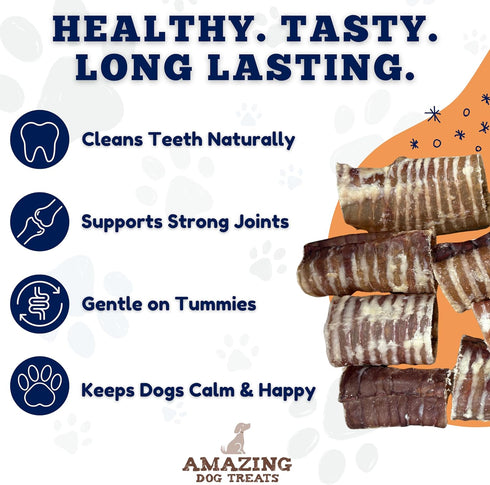 6 Inch (10 16.5 oz) Amazing Dog Treats - Beef Trachea Dog Chews pcs - - Trachea Dog Treats - NO Hide - Digestible