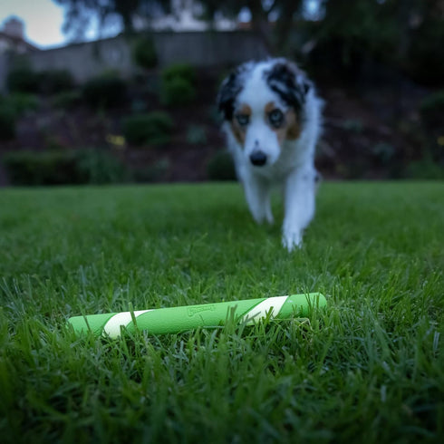 Chuckit! Max Glow Ultra Fetch Stick Outdoor Dog Toy, 12 Inches for All Breed Sizes
