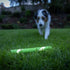 Chuckit! Max Glow Ultra Fetch Stick Outdoor Dog Toy, 12 Inches for All Breed Sizes