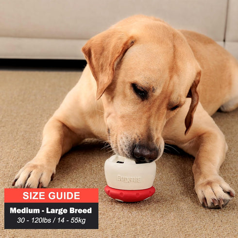 BiteKing Frozen Natural Rubber Long Lasting Interactive Dog Toys to Keep Them Busy, Freeze Enrichment Toys for Medium