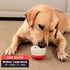 BiteKing Frozen Natural Rubber Long Lasting Interactive Dog Toys to Keep Them Busy, Freeze Enrichment Toys for Medium