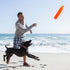 Dog Water Toy, Interactive Fetch Toys Float for Training, Outdoor Fun for Small Medium Large Dogs