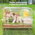 Mini&moe Hamster Platform - Small Animal Play Wooden Heigh Platform for Exercise Wheel Food Bowl Water Bottle and Other