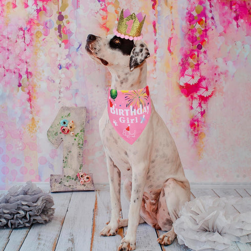 ADOGGYGO Dog Bandana Hat Set for Birthday Party Supply, Large Pink Scarf for Medium Large Dog