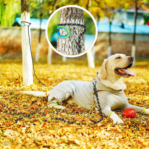 NTR Dog Rope Leash, 10FT Recall Training Lead with Reflective Threads and Soft Rubber Handle for Small Medium Large