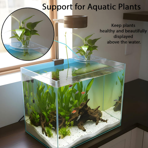 BEVINKATE Rimless 2 Aquarium Plant Holder for Fish Tank Pcs Corner Shelf for Fish Tank Top, Aquatic Plant Planter
