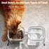 Elevated Cat Bowls, 15° Tilted Glass Raised Food Bowl with Stainless Steel Stand, 2 Large Capacity Bowls