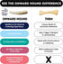 Elk Antler Dog Chew XXL 1-Pack, Grade A Naturally Shed Deer Antlers for Dogs, Boredom Buster for Aggressive Chewers