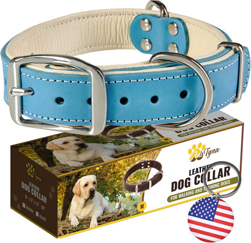 ADITYNA Heavy-Duty Leather Dog Collar - Soft Padded Blue Collar for Medium Dogs, Ideal for Walking and Training
