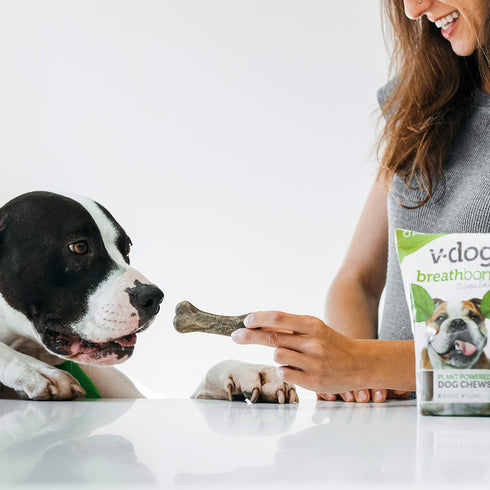 V-dog Vegan Breathbone Teeth Cleaning Dental Dog Bones, Fresh Breath, 8 Ounces, All Natural, Made in USA