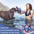 QDAN Purple Soccer Ball Dog Toy with Straps - Durable 6 Inch Beach Pool Water Toy for Small Medium Dogs