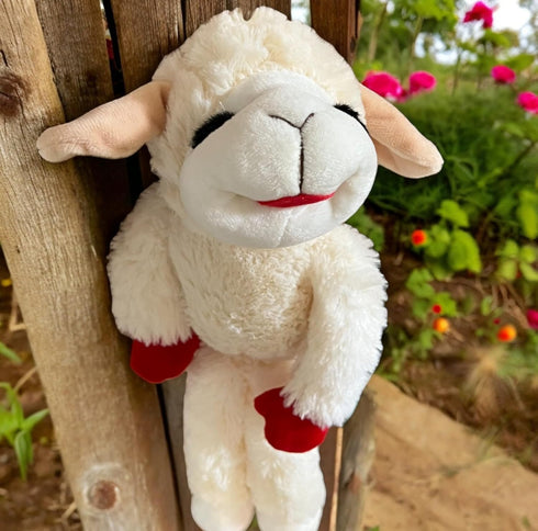 Lamb Chop Dog Toy, 14" with Squeaker
