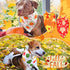 50 25 (25.6 17.7 17.7) Preboun Pcs Fall Thanksgiving Dog Bandana Bulk Pumpkin Maple Leaves Bandana for Dogs Triangle