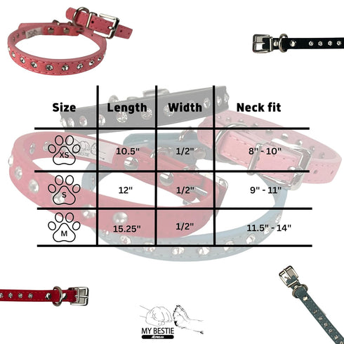 ATE Pro. USA 5 Set, Set, Puppy Supplies Starter Kit, pc Retractable Leash, Studded Leather Collar, Pet Grooming Brush