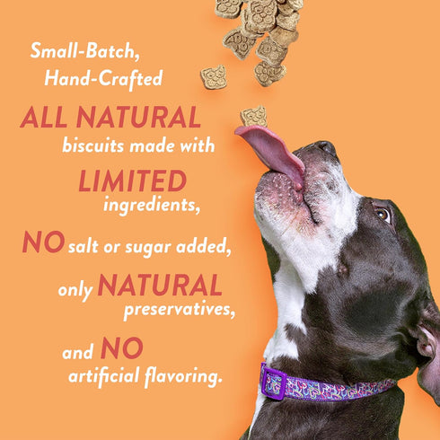 Spunky pup Cheddar Bites, Crunchy Biscuit Treats, 10 oz