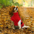 Dog Sweater Dress, Plaid Knitwear for Small Medium Dogs, Warm Turtleneck Pullover with Leash Hole for Christmas (Red,