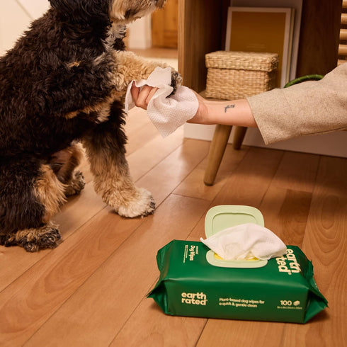 Earth Rated 100 Count Hypoallergenic Dog Wipes, Unscented Grooming Wipes for Paws, Body, and Butt, Perfect for Dogs