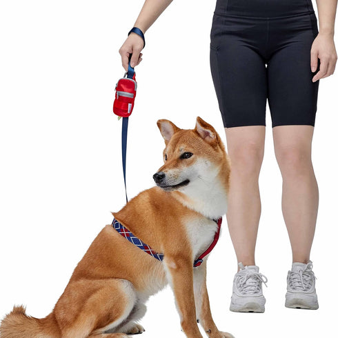 Blueberry Style Red Dog Waste Bag Dispenser, Dog Poop Bag Holder with 1 Roll of Free Poop Bags