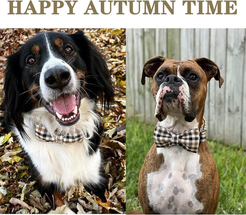 Unique style paws Fall Dog Collar, Puppy Collar with Bowtie, Adjustable Dog collar Pet Gift for Small Medium Large Dogs