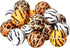 Unique Sports Small Dog Animal Print Mini Tennis Fetch Balls, Squeaker Ball Dog Toy 18 Pack