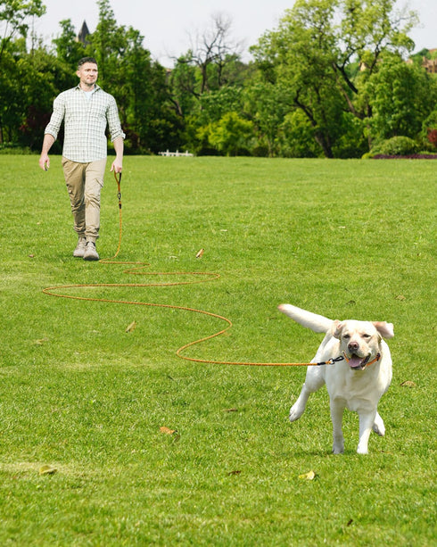 Joytale Long Leash for Dogs, Training Leash with Removable Padded Handle, Double Hook, 15FT/30FT/50FT/65FT for