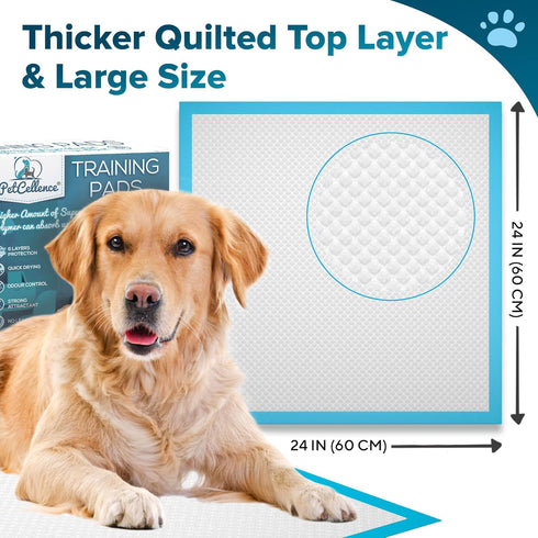 100 Count 24" 24" Large Puppy Pads - x Pee Pads for Dogs with Adhesive Sticky Tapes, Ultra Absorbent Dog Pads, Perfect