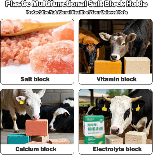 5 Horses2 Plastic Salt Block Holder, Rust-Resistant Design with Horse Cutout, Includes Fixing Screws, Drainage Holes