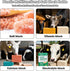 5 Horses2 Plastic Salt Block Holder, Rust-Resistant Design with Horse Cutout, Includes Fixing Screws, Drainage Holes