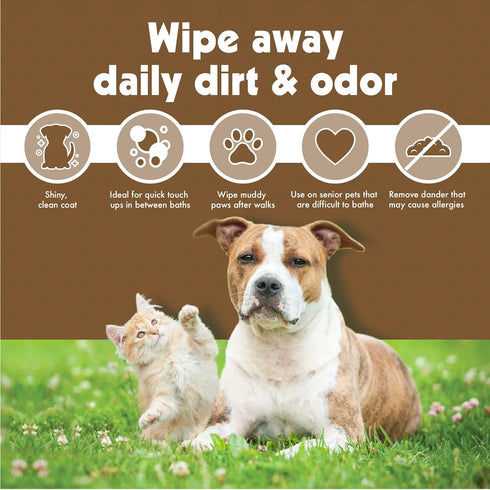Petkin Pet Wipes for Dogs and Cats, Oatmeal, 100 Wipes, Soothes Itchy Skin, Cleans Ears, Face, Body