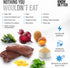 Know Better for Dogs - Beef Recipe, RAW or Cooked Premix/Supplement for Homemade Dog Food, All Natural