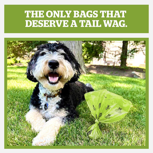 60 900-Count) Pogis Dog Poop Bags Leak-Proof & Extra Thick Pet Waste Bags (Fresh Scent, Rolls
