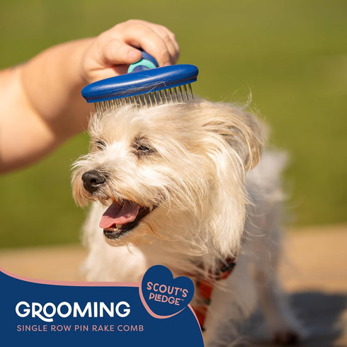 Good Scout Pet Hair Rake with Rounded Teeth