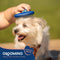 Good Scout Pet Hair Rake with Rounded Teeth